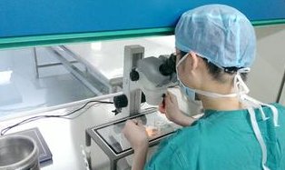 深圳地区有哪些私立的机构可以做试管技术？黄颡鱼的功效作用和营养价值