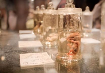 广州地区有哪些私立的机构可以做试管技术？女性两次做三代试管最长间隔时间多久呢？