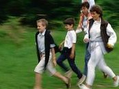 移植后吃苹果会不会减内膜,移植成功决定因素是什么？