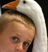 沈阳地区有哪些私立的机构可以做试管技术？法律规定生育年龄是多少？