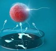 三代试管婴儿PGS和PGD的区别？必须检测PGS和PGD吗？