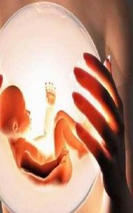 在西藏阜康医院做试管婴儿成功率高不高？费用要多少？