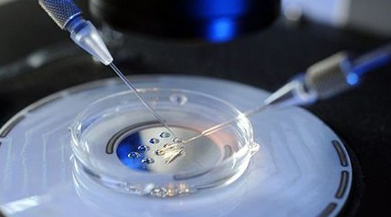 2026年海口第三代试管婴儿费用要多少？附费用明细！