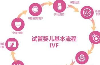 做试管婴儿过程中AMH值与之有何联系？